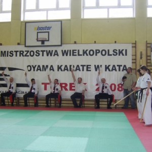 Mistrzostwa Wielkopolski Turek 2008