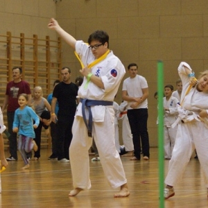 Rodzinne Mikolajki z OYAMA Karate 2013 (12)