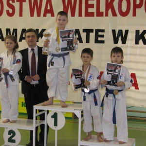 Mistrzostwa Wielkopolski w Kata - Kłodawa 2014 (4)
