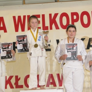 Mistrzostwa Wielkopolski w Kata - Kłodawa 2014 (6)