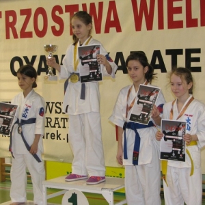Mistrzostwa Wielkopolski w Kata - Kłodawa 2014 (9)