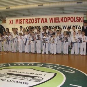 Mistrzostwa Wielkopolski w Kata - Kłodawa 2014 (14)