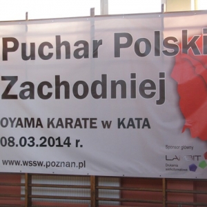 Puchar Polski Zachodniej 2014 (32)
