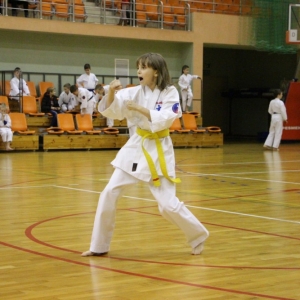 turniej_mikolajkowy_oyama_karate_2015 (6)