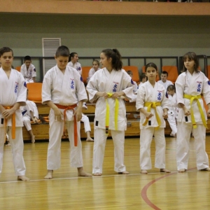 turniej_mikolajkowy_oyama_karate_2015 (7)
