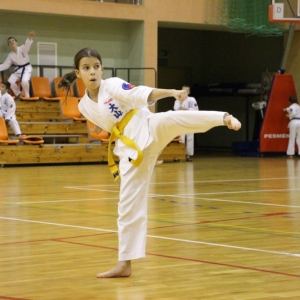 turniej_mikolajkowy_oyama_karate_2015 (9)