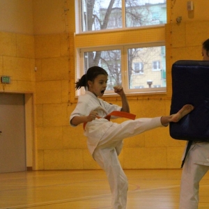 Pokaz oraz trening z zakresu Oyama Karate (1)