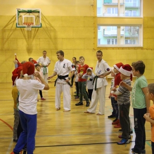 Pokaz oraz trening z zakresu Oyama Karate (9)
