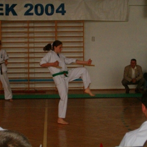 X Mistrzostwa Polski Oyama Karate Turek 2004  (7)