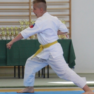 Wielkopolski Turniej Oyama Karate 2021 (20)