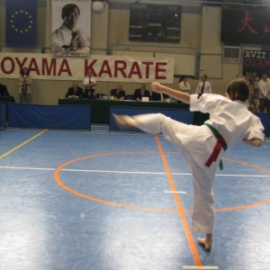 Mistrzostwa Polski w kata - Rzeszów 2011 (9)